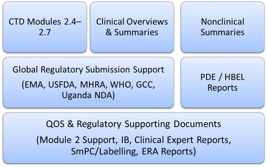Regulatory Writing for CTD Modules